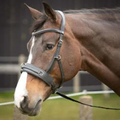 Harry's Horse Kaptoom Hoofdstel Comfort Leder Zwart
