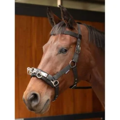 Harry's Horse Kaptoom Zwart