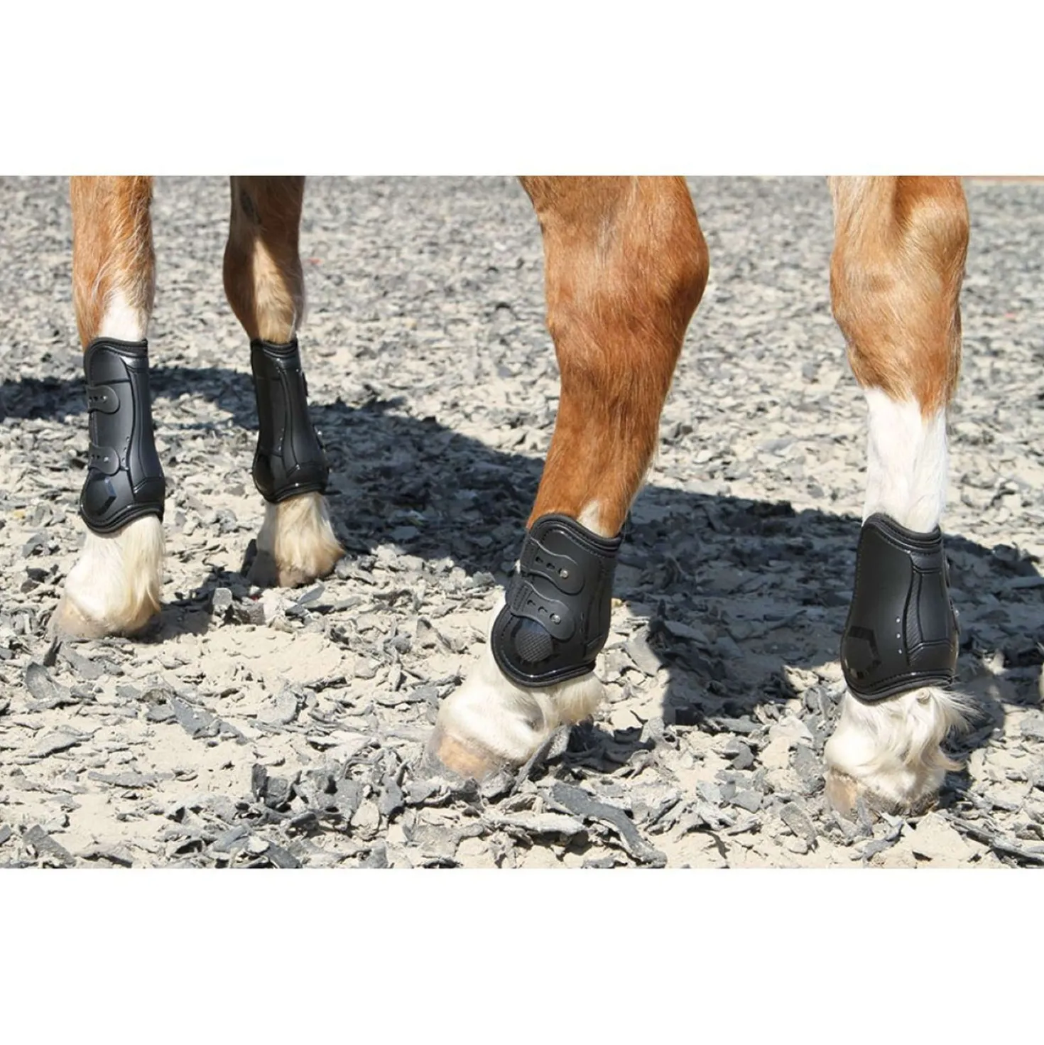 Harry's Horse Kogelbeschermers Percy Air Zwart