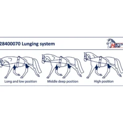 Harry's Horse Longeerhulpteugel