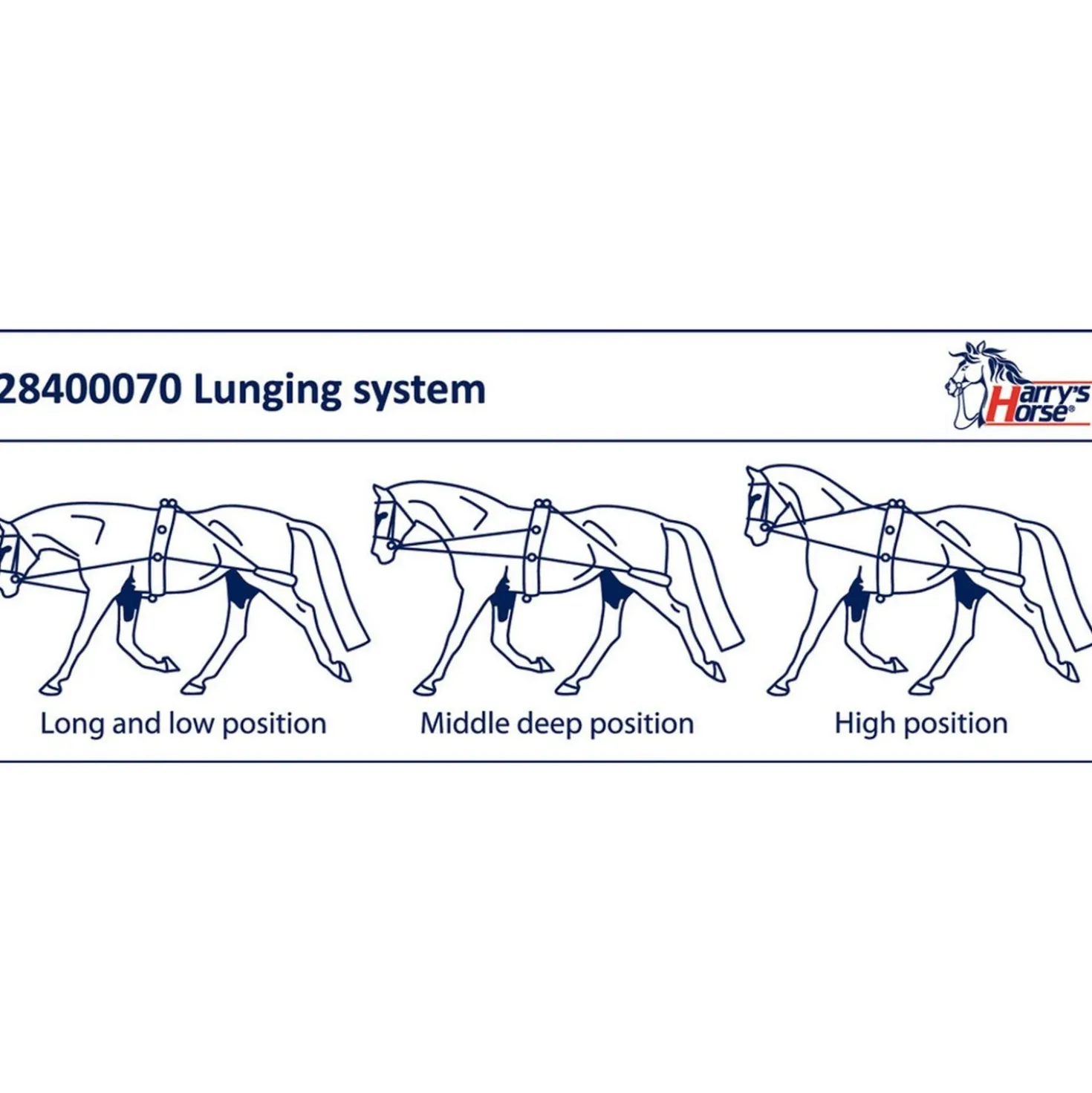 Harry's Horse Longeerhulpteugel