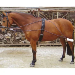 Harry's Horse Longeerhulpteugel