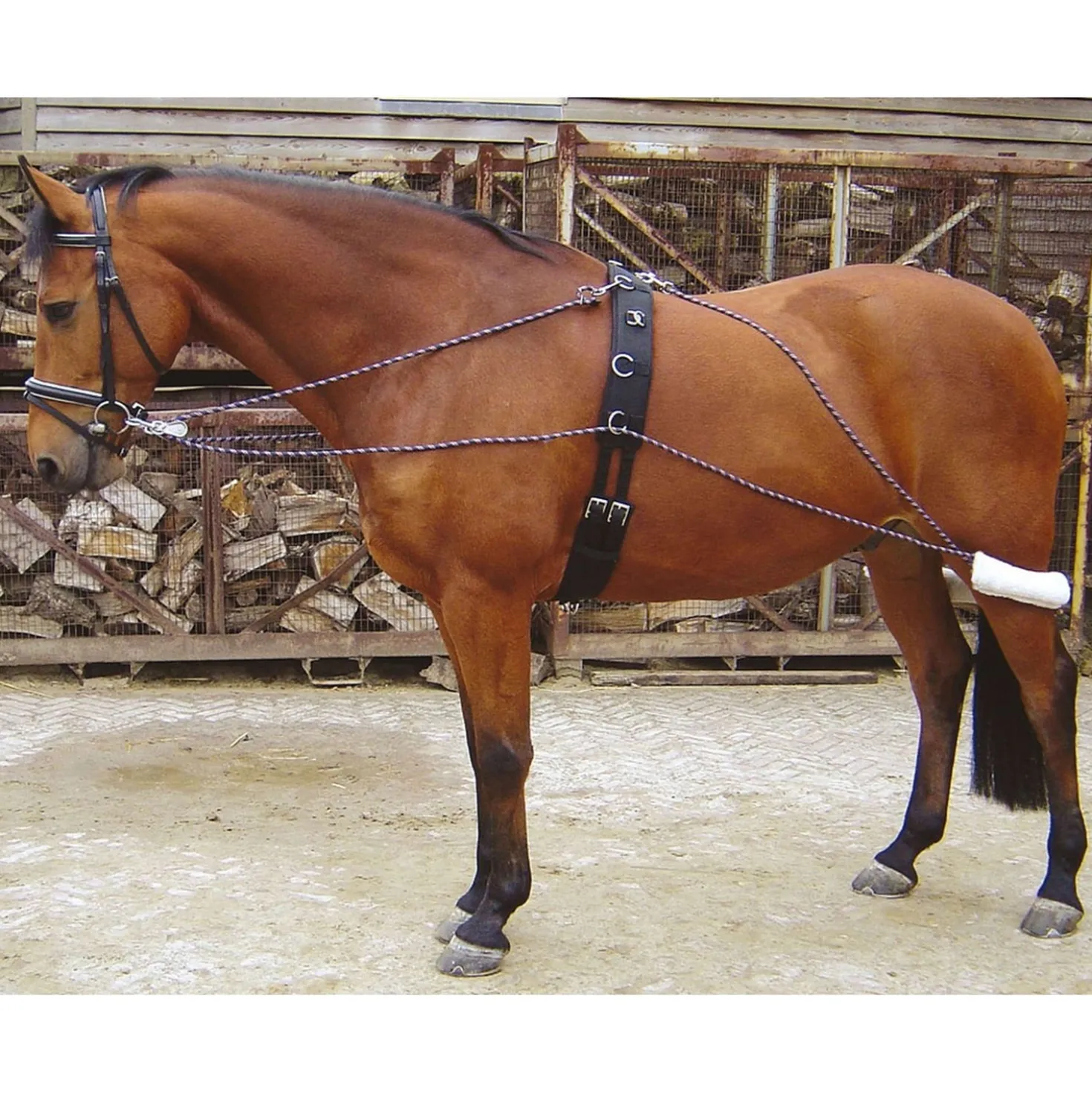 Harry's Horse Longeerhulpteugel