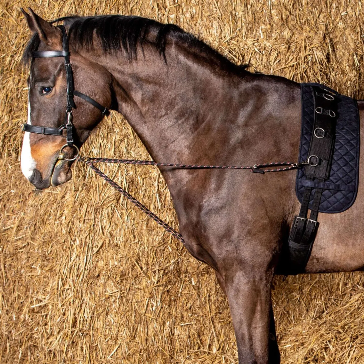Harry's Horse Longeerkoord V-line Zwart