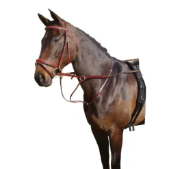 Harry's Horse Martingaal Bruin