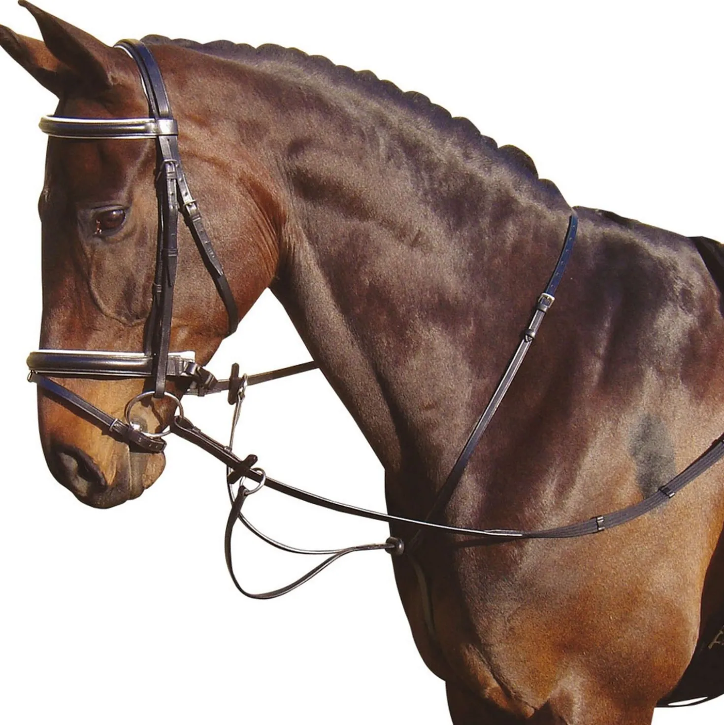 Harry's Horse Martingaal Zwart
