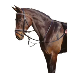 Harry's Horse Martingaal Zwart