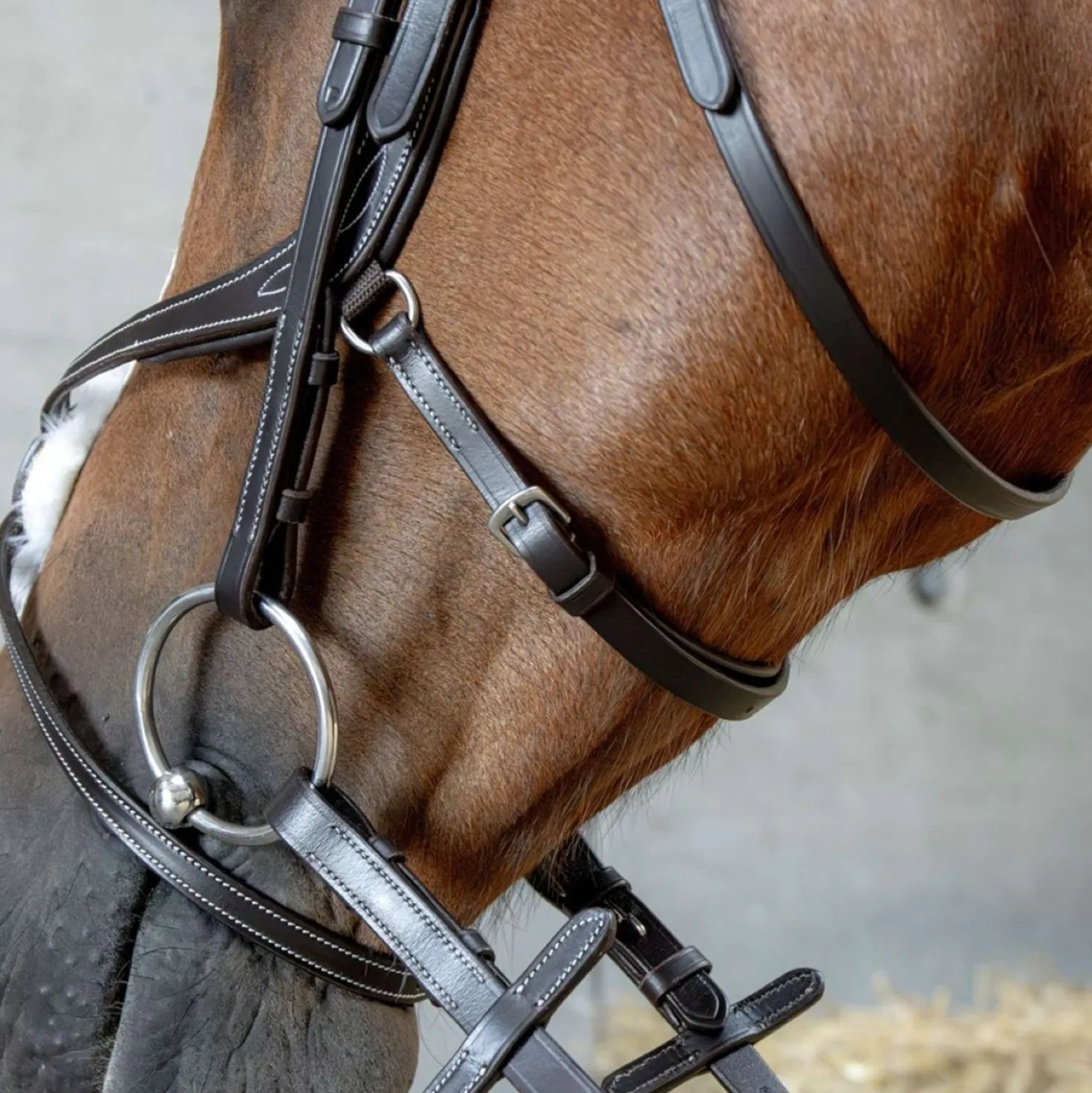 Harry's Horse Mexicaans Hoofdstel Anatomic Bruin