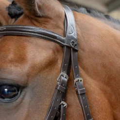 Harry's Horse Mexicaans Hoofdstel Anatomic Bruin