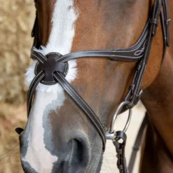 Harry's Horse Mexicaans Hoofdstel Anatomic Bruin