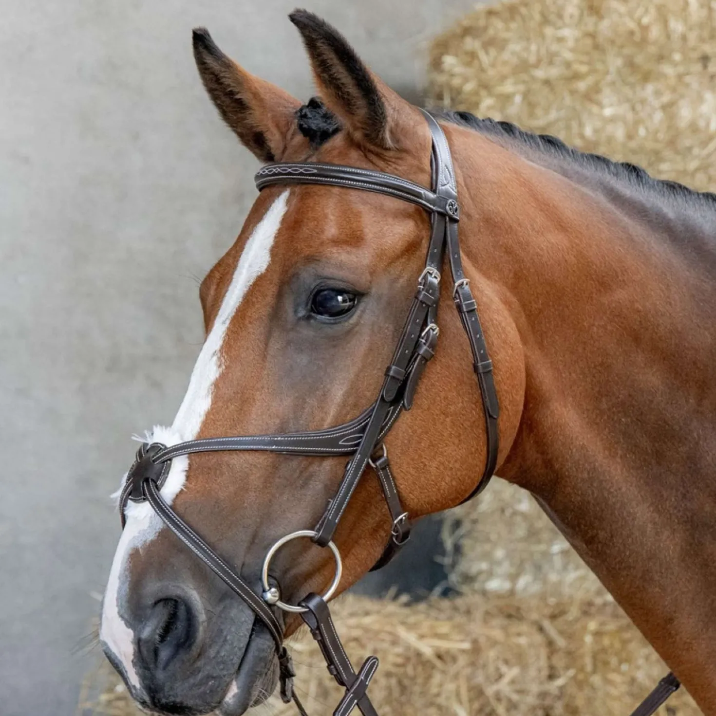 Harry's Horse Mexicaans Hoofdstel Anatomic Bruin