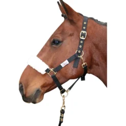 Harry's Horse Neusbontje Synthetisch Beige