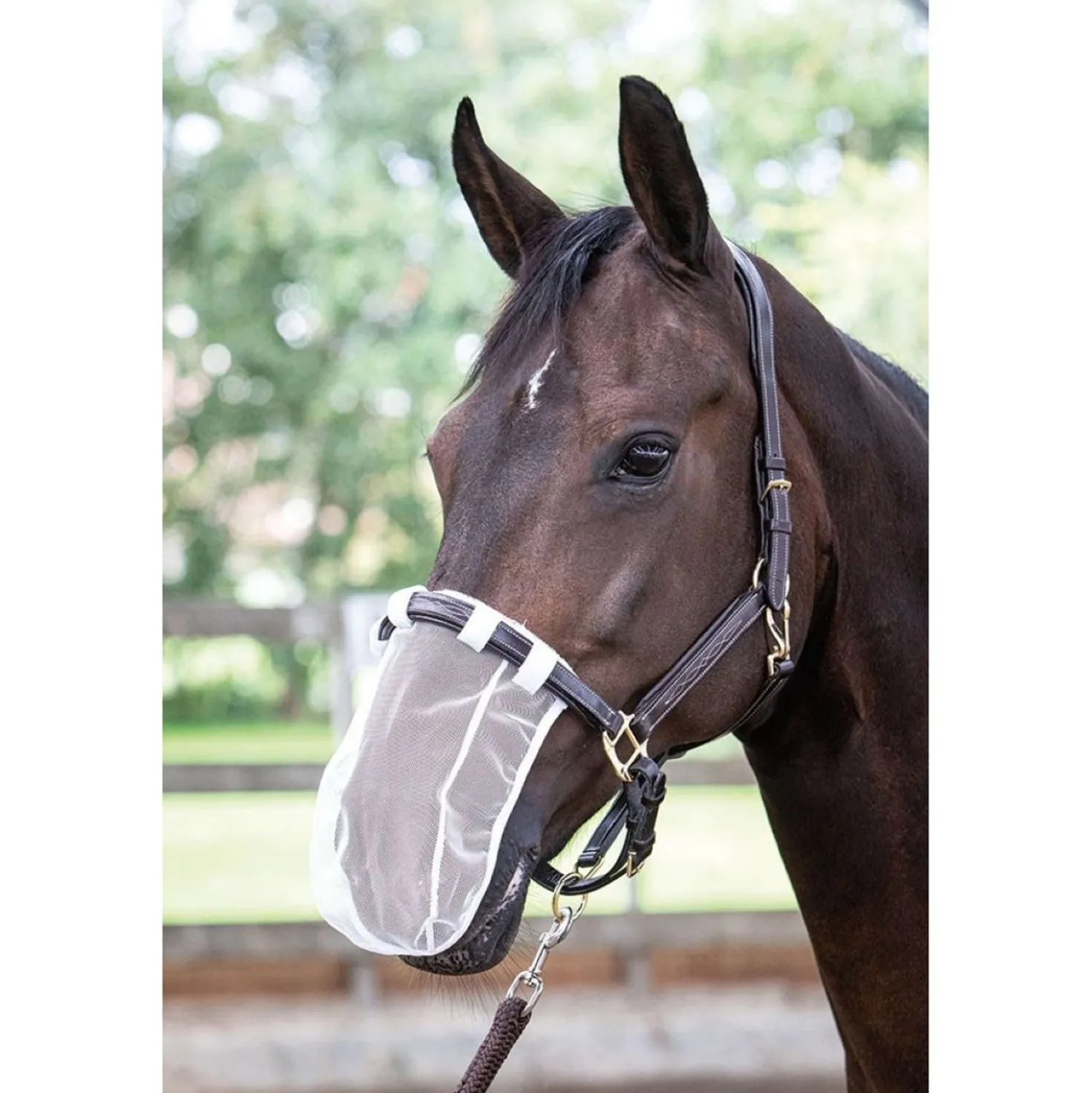 Harry's Horse Neusnetje Wit