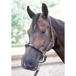 Harry's Horse Neusnetje Zwart