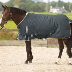 Harry's Horse Outdoordeken Thor 300g Ebony