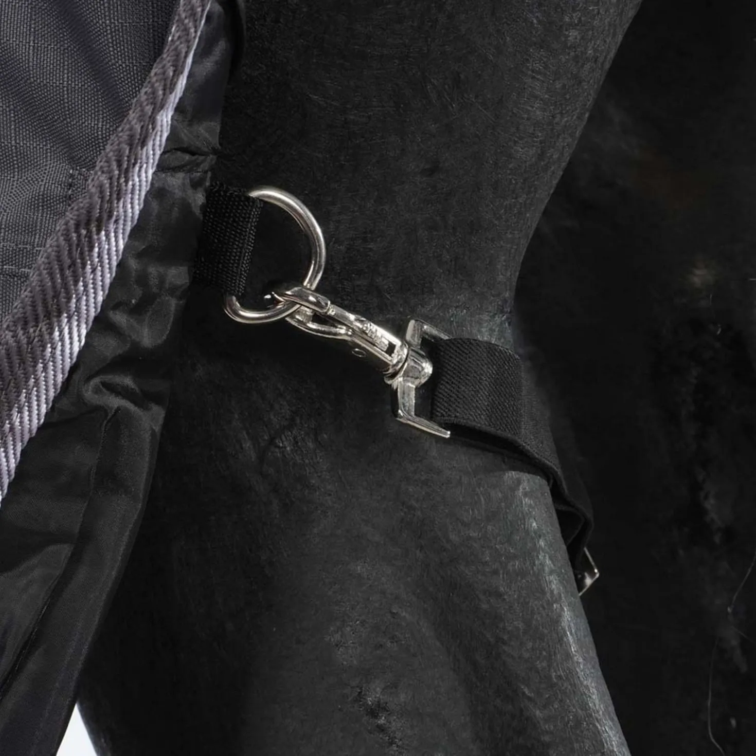 Harry's Horse Outdoordeken Thor 200g met Hals Ebony