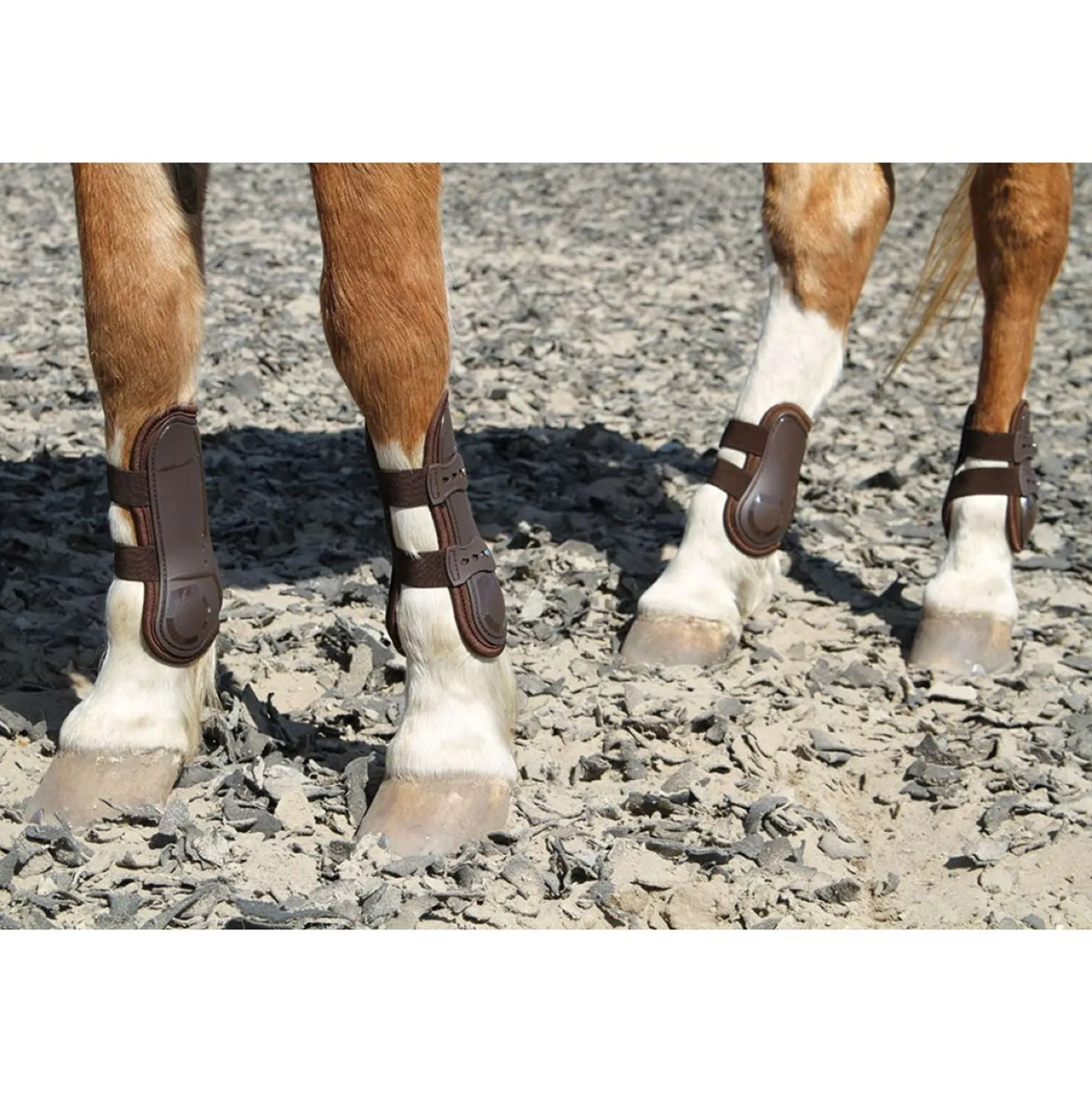 Harry's Horse Peesbeschermers Percy Air Bruin