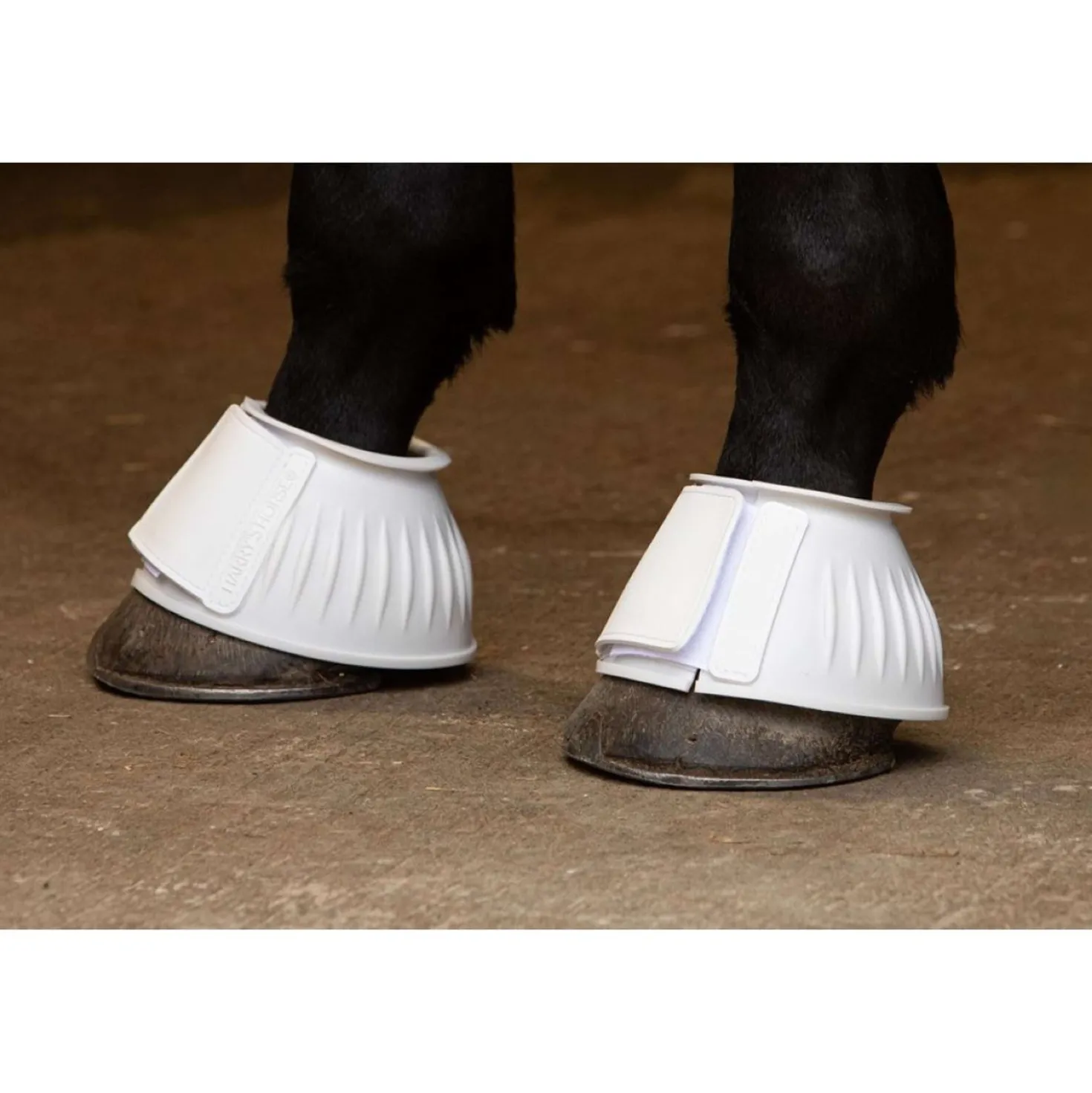 Harry's Horse Springschoenen TPE Wit