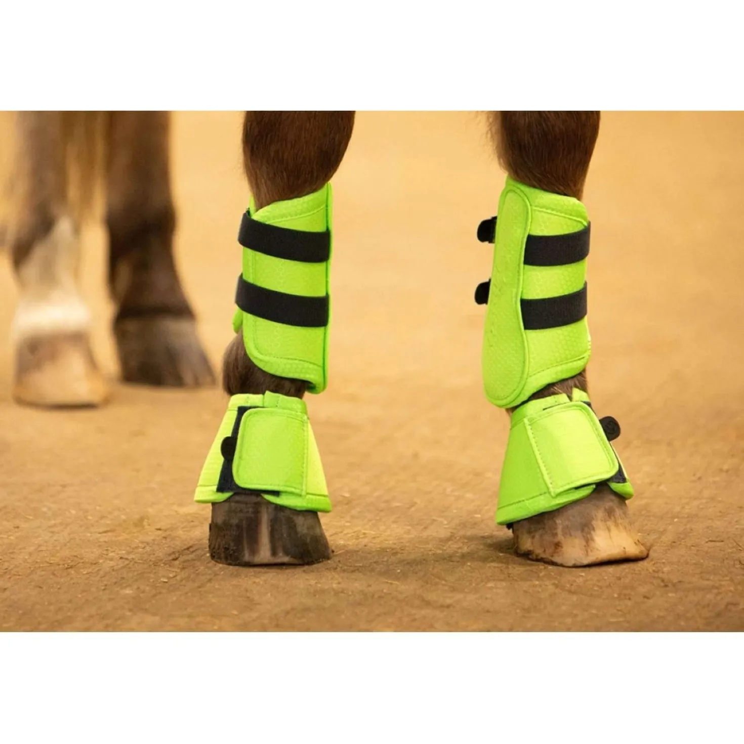 Harry's Horse Springschoenen STOUT! Lime Lime