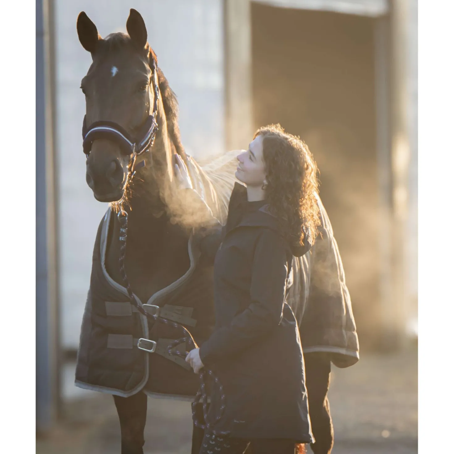 Harry's Horse Staldeken Highliner AW26 200g Black-Sand