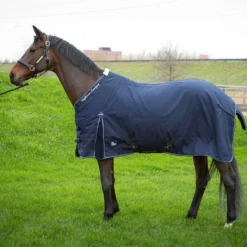 Harry's Horse Staldeken Highliner Boa Navy