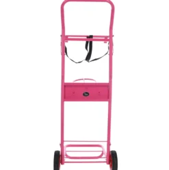 Harry's Horse Stalkruier Colour Roze