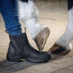 Harry's Horse Stalschoenen Leder Safety Steel Toe Zwart