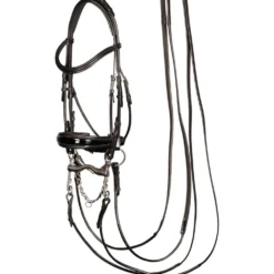 Harry's Horse Stang en Trenshoofdstel Grand Prix Zwart