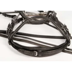 Harry's Horse Stang en Trenshoofdstel Grand Prix Zwart