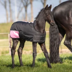 Harry's Horse Veulendeken TwoTone Zwart