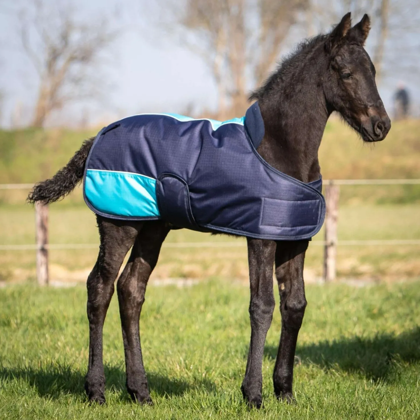 Harry's Horse Veulendeken TwoTone Navy