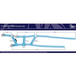 Harry's Horse Veulenhalster Navy