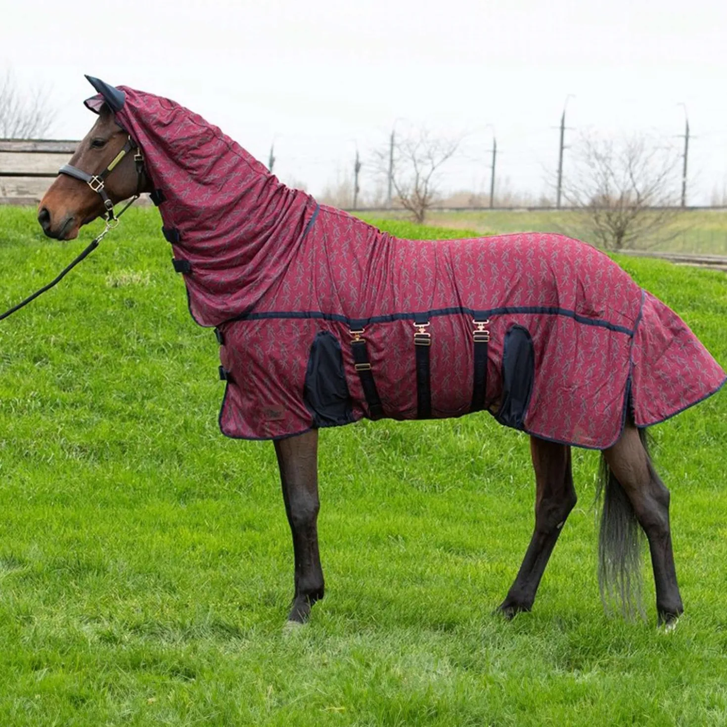 Harry's Horse Vliegendeken Mesh Superior Bordeaux