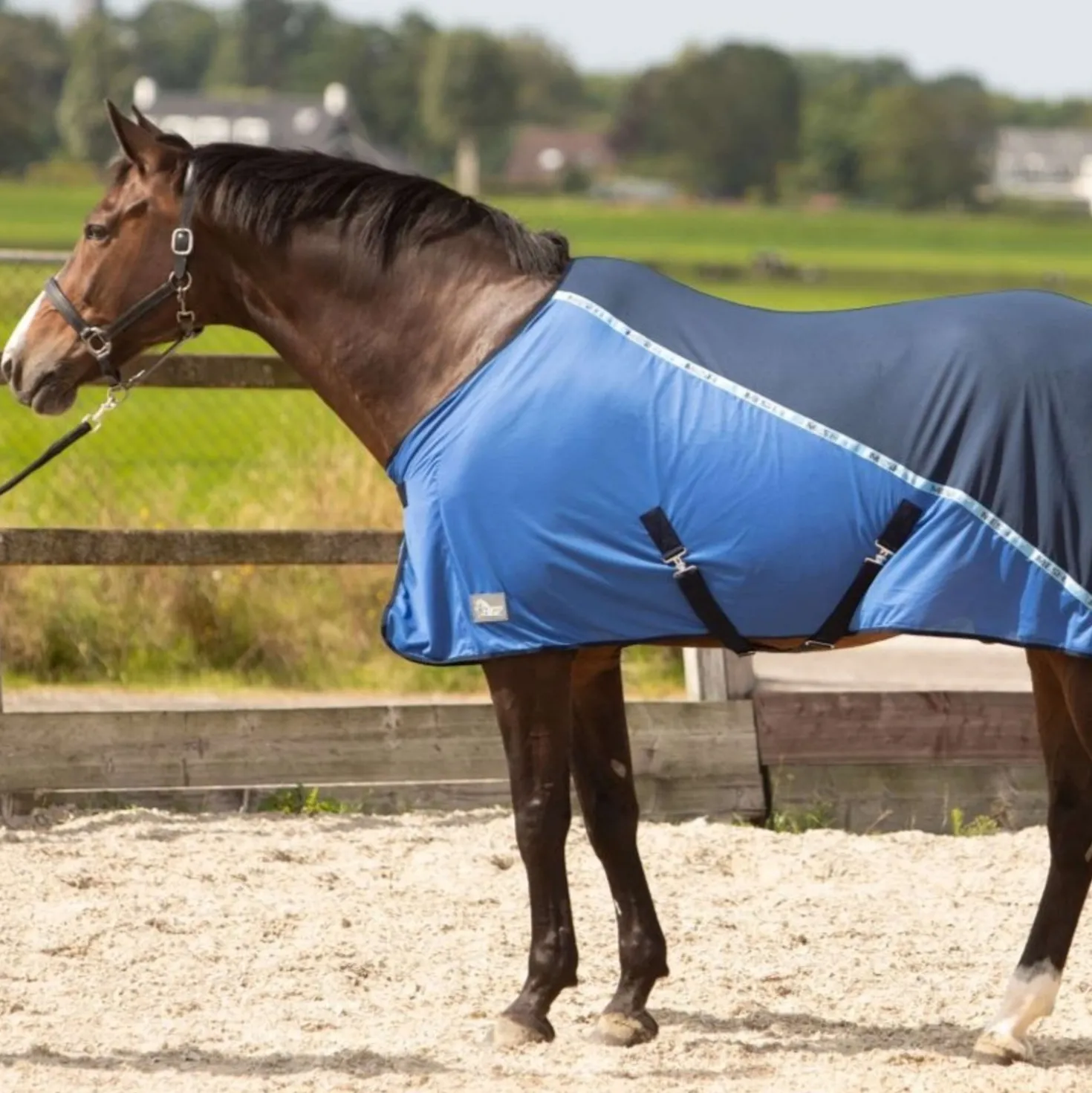 Harry's Horse Vliegendeken Mesh-pro Navy