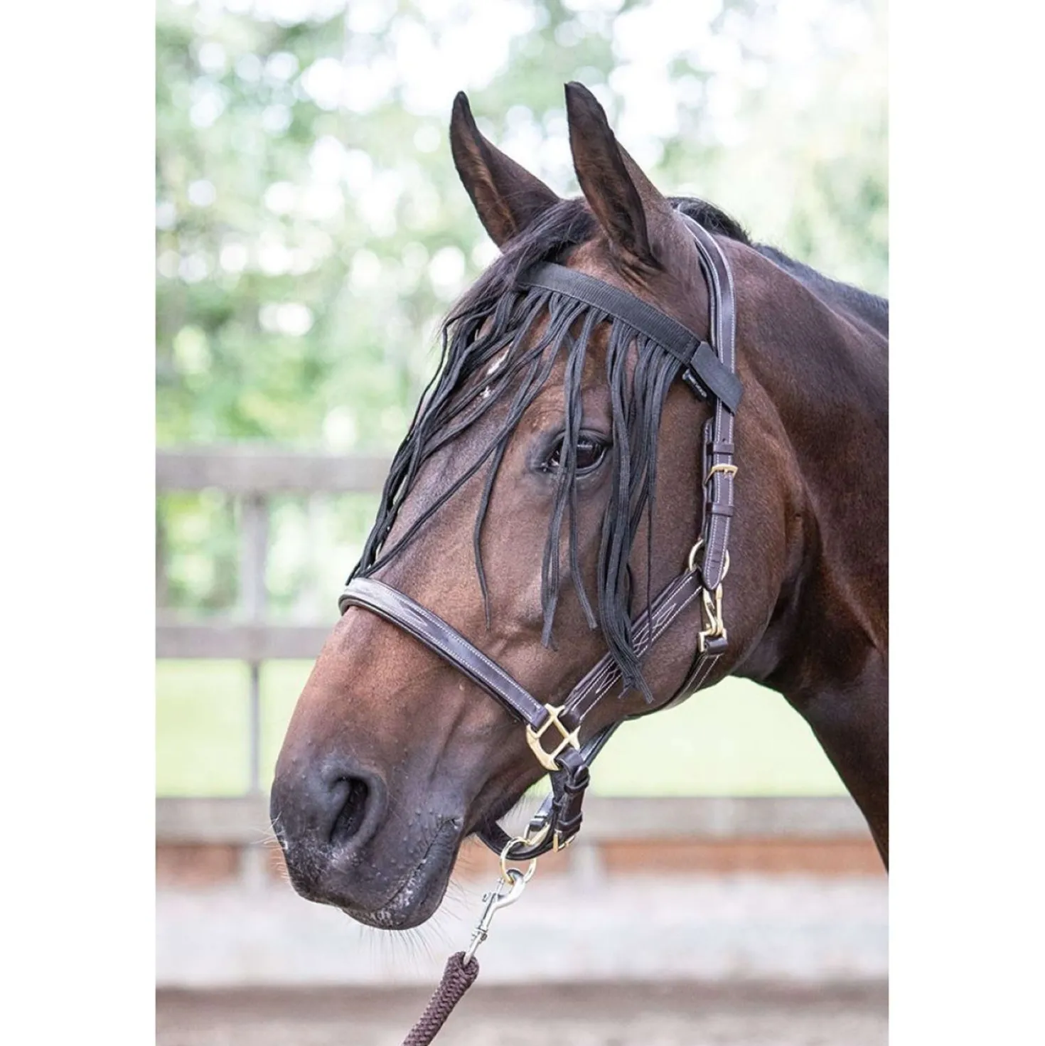 Harry's Horse Vliegenfrontriem Zwart