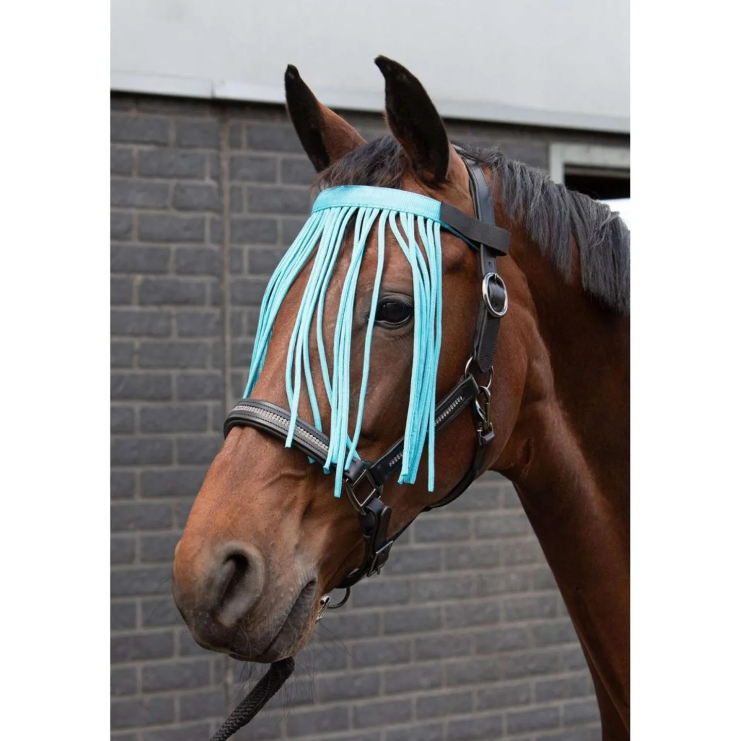 Harry's Horse Vliegenfrontriem Colour Lichtblauw