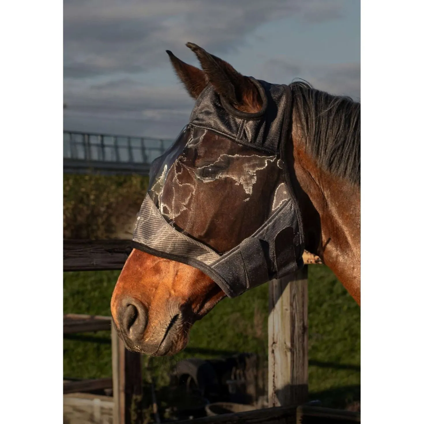 Harry's Horse Vliegenmasker Flyshield Zonder Oren