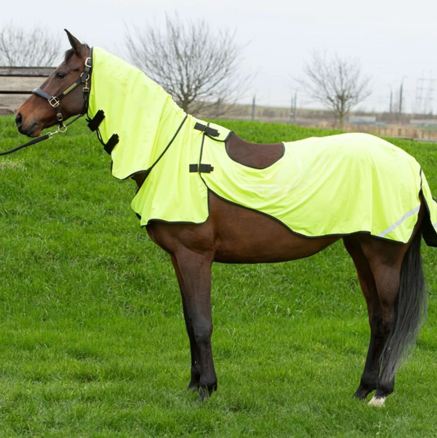 Harry's Horse Vliegen Uitrijdeken Mesh Pro Geel