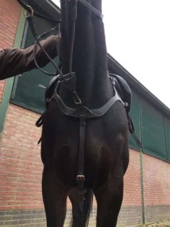Harry's Horse Voortuig Deluxe Bruin
