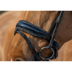 HB Anatomische neusriem Rocky Glitter/Zwart