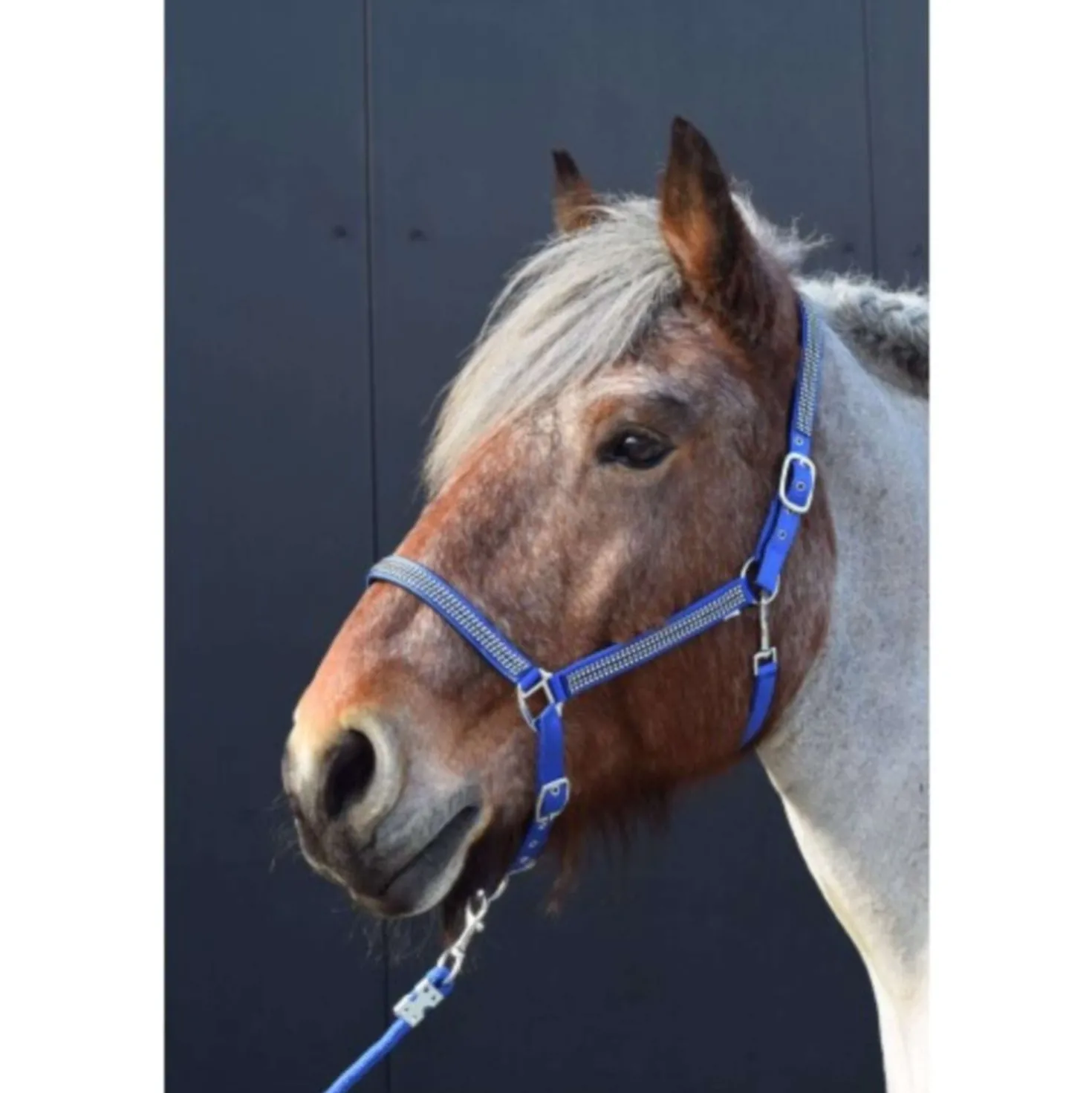 HB Halster Diamonds Collection Royal Blue