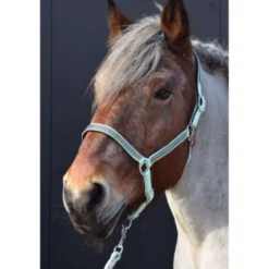 HB Halster Diamonds Collection Mintgroen