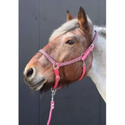 HB Halster Diamonds Collection Fuchsia