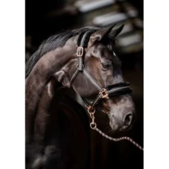 HB Halster Europe Rose Zwart