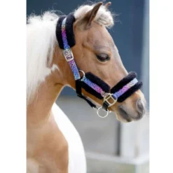 HB Halster Funny Little Sizes Zwart/Rainbow