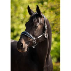 HB Halster Showtime Grand Slam Zwart/Aqua Blue