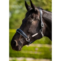 HB Halster Showtime Grand Slam Zwart/Aqua Blue