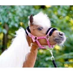HB Halster Sunny Flower Fuchsia