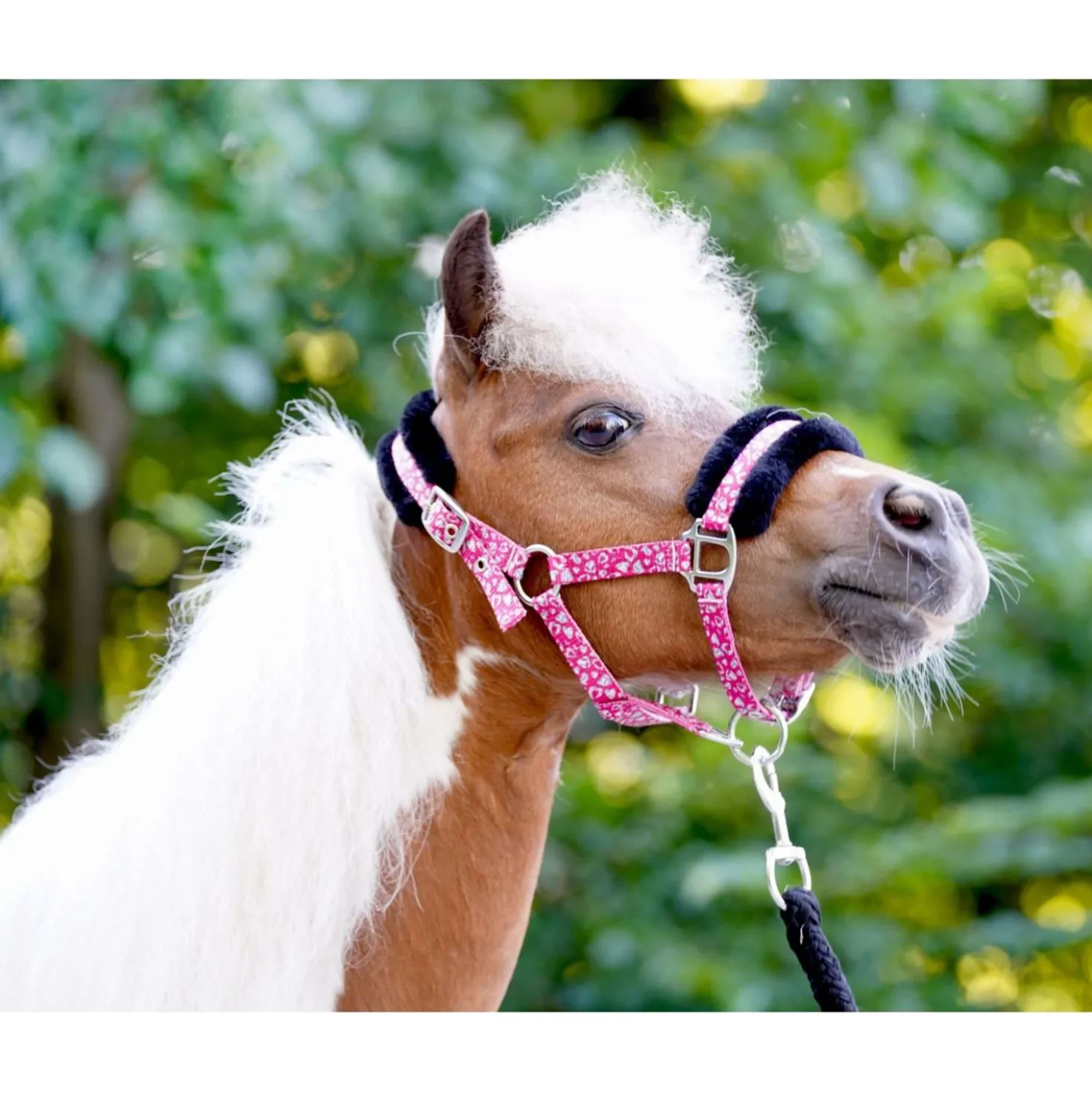 HB Halster Sunny Flower Fuchsia