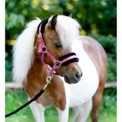HB Halster Sunny Flower Fuchsia